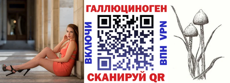 кракен зеркало  что такое   Злынка  Галлюциногенные грибы прущие грибы 